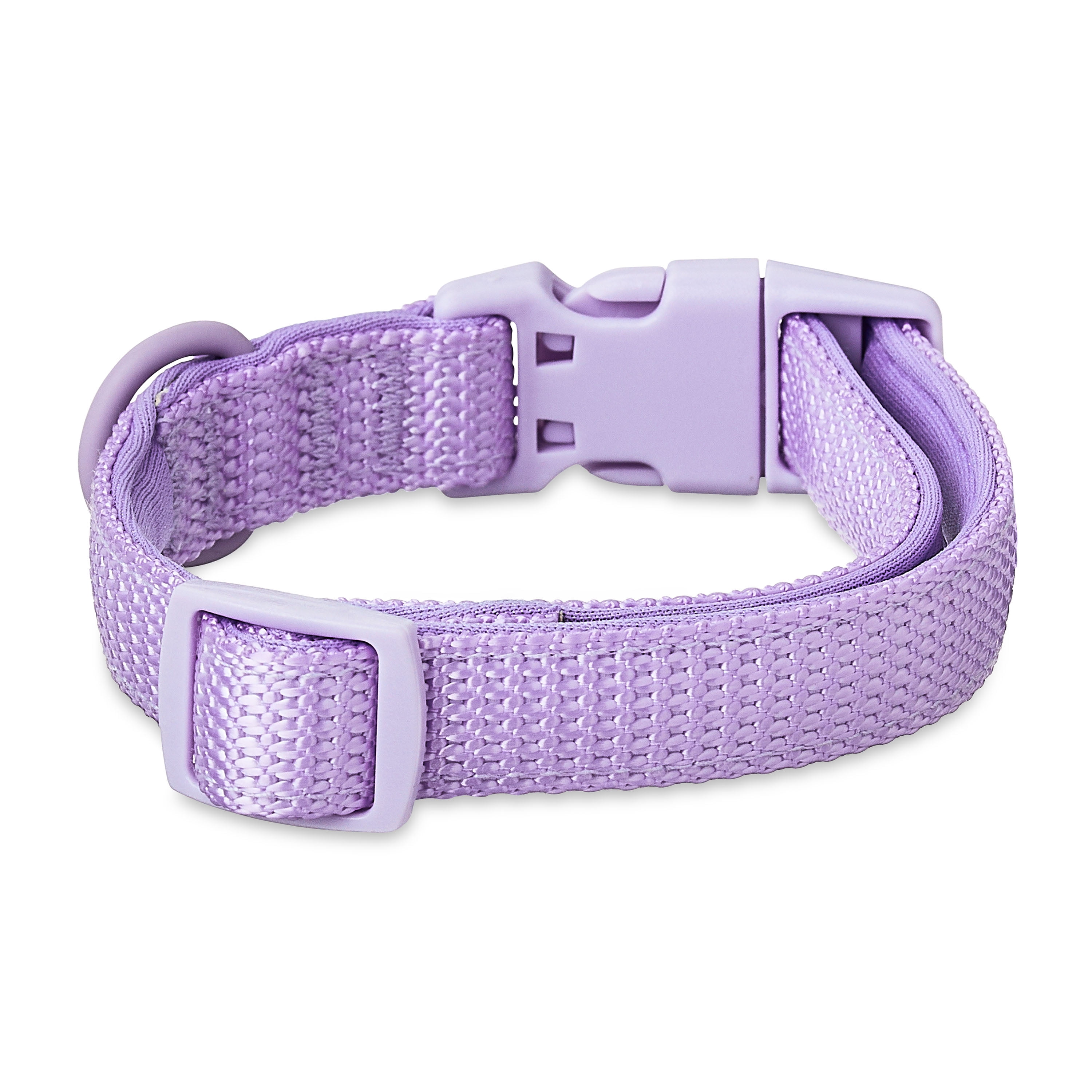 Vibrant Life Neoprene Cushioned Adjustable Dog Collar and 6ft Leash, Lavender, Small