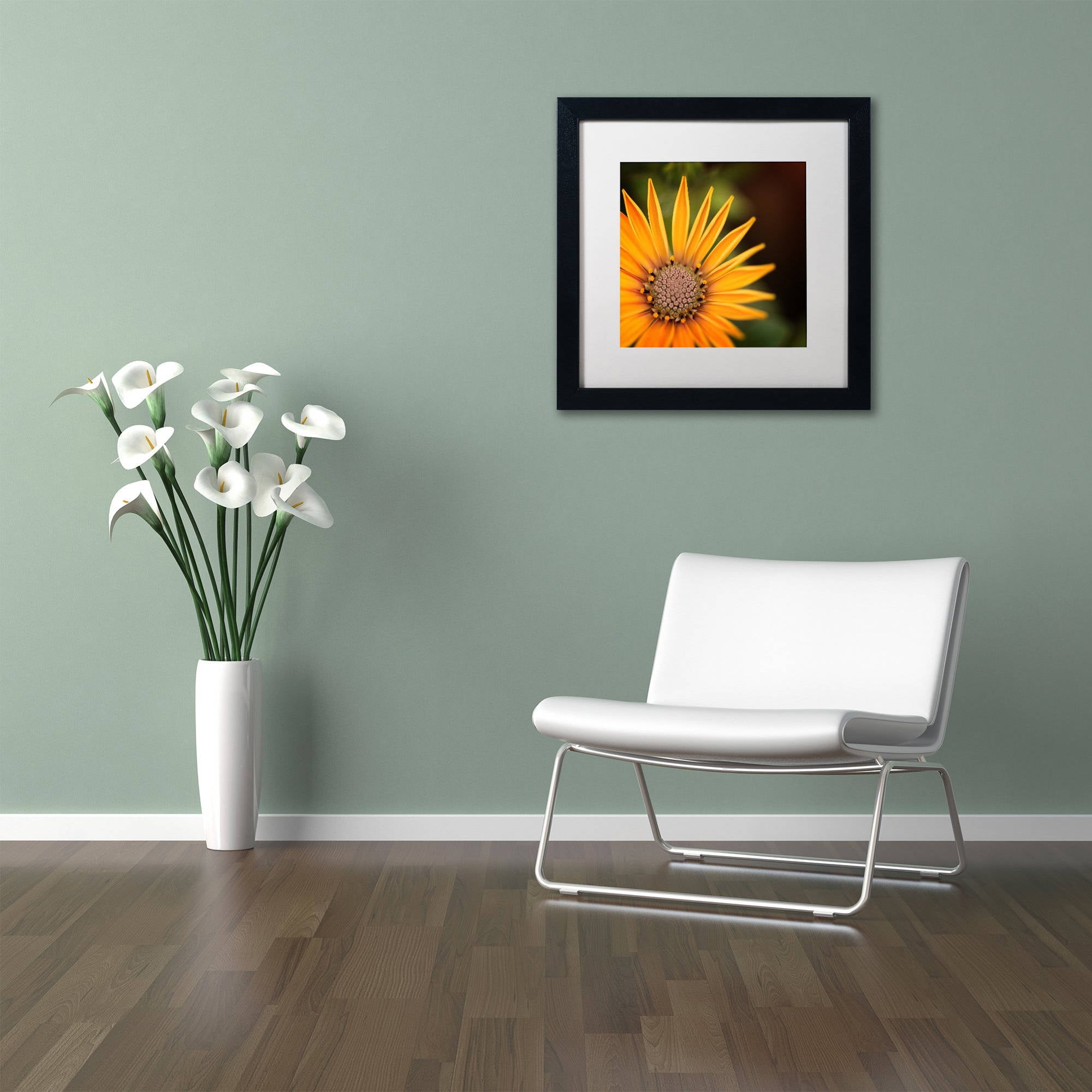 Trademark Fine Art "Everyday" Canvas Art by Philippe Sainte-Laudy, White Matte, Black Frame