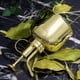 thumbnail image 4 of Toystoory Pulverizador de repuesto Vintage antioxidante portátil de mano riego jardinería aspersor atomizador herramienta Accesorios Jardín y Patio Oro rosa Toystoory HA083709-02, 4 of 6