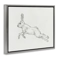 thumbnail image 3 of Stupell Industries Transitional Rabbit Hopping Sketch Gray Floating Frame Canvas Art, 21 x 17, by Ethan Harper, 3 of 8
