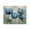 Serene Blue Tulip Watercolor, variant on Stupell Industries French Country Drawn Blue Iris Flowers Canvas Art, 20 x 16, by Franklyn Gregory