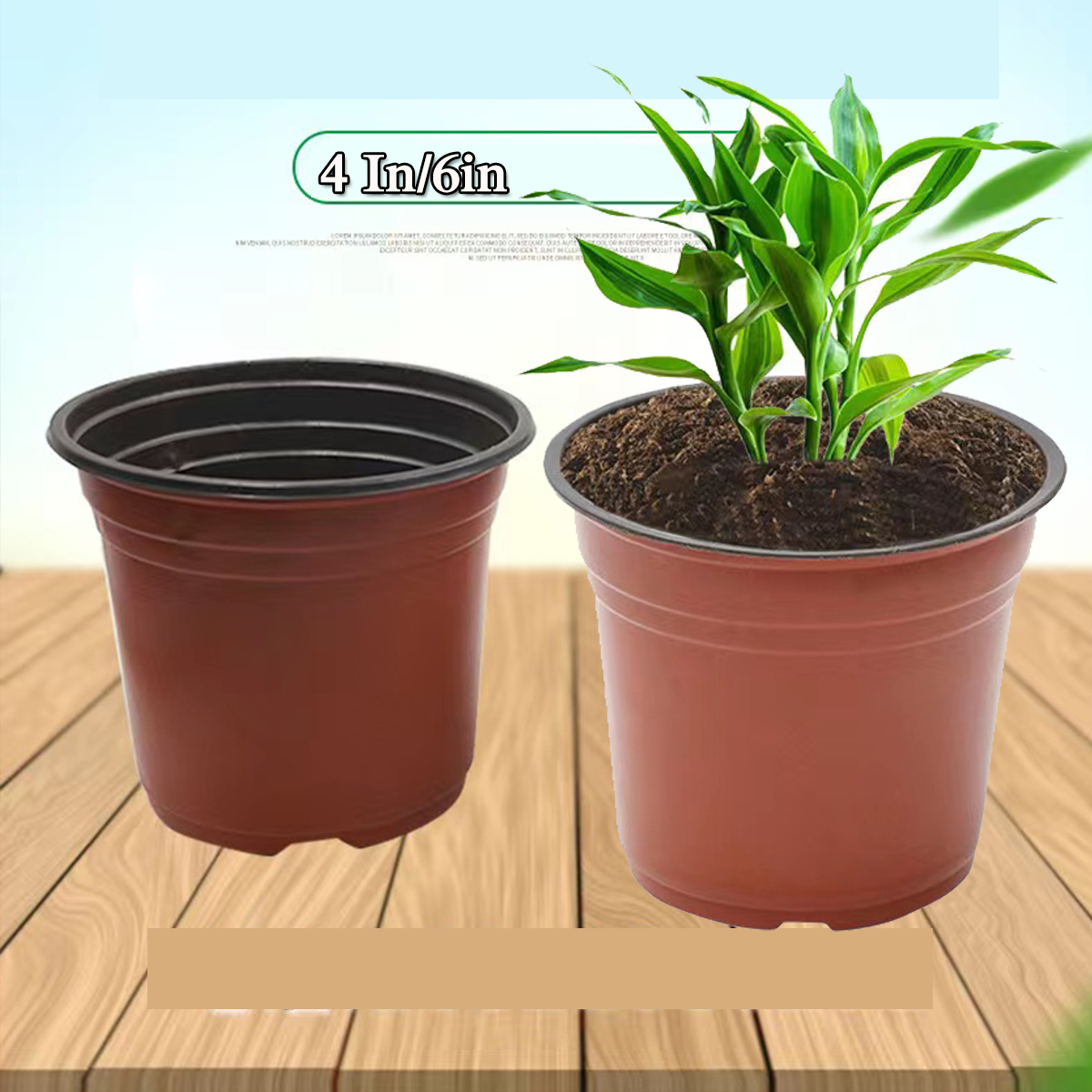 4" /6" Plastic Plants Nursery Seedlings Pot/Pots Flower Plant Container