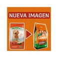 thumbnail image 2 of Grateful 25 Kg + Mazacan Para Perro 1 pza, 2 of 5