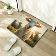 thumbnail image 5 of FCXZI Goat Sheep Sun Diatom Mud Mats Non-Slip Home Bath Rug 24x16in, 5 of 5