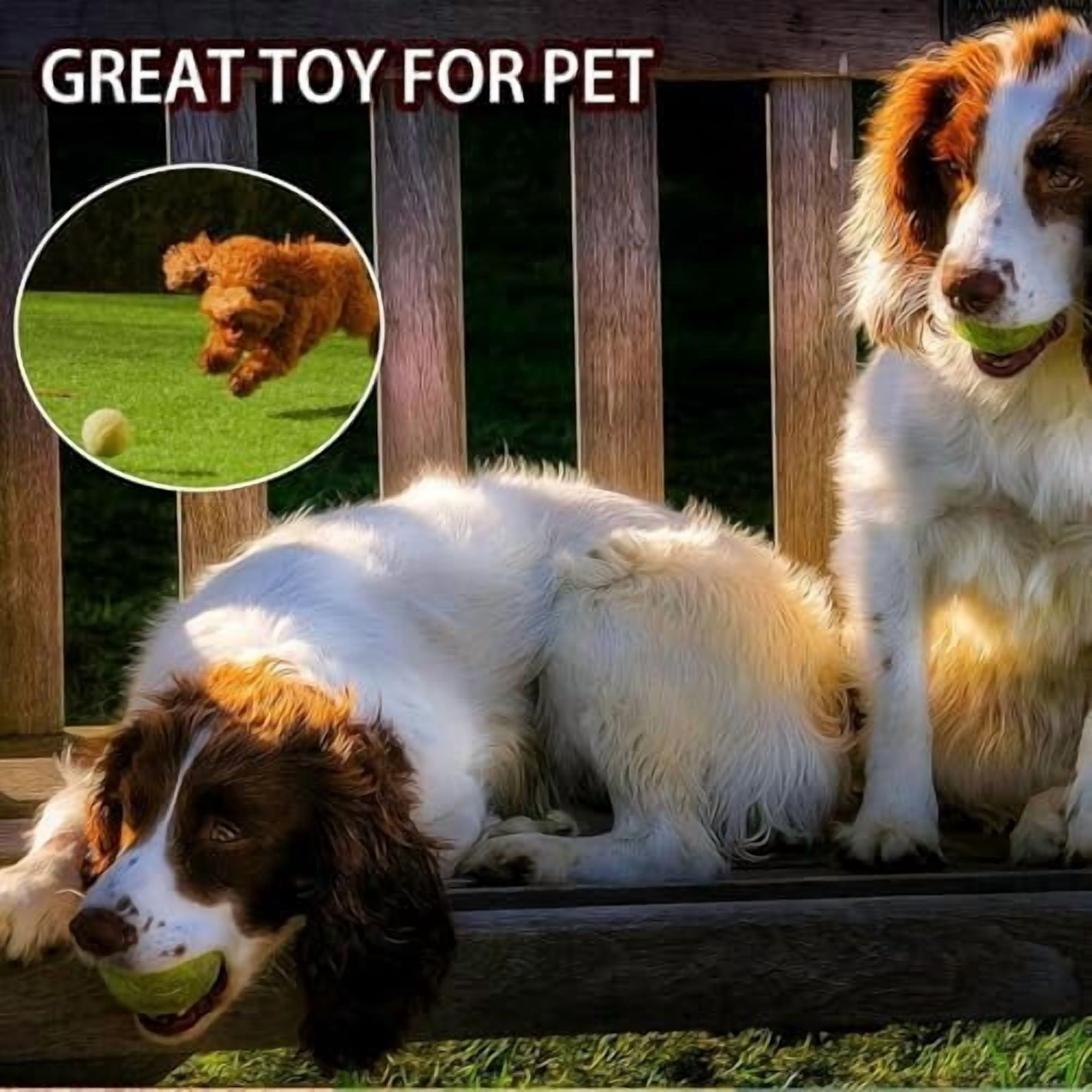 Tennis Balls, 20 Pack Training Tennis Balls,High Elasticity Practice Tennis for Beginner, Exercise Playing Balls for Pet Dog Multicolour