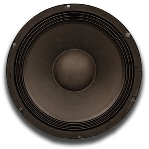 Seismic Audio  - 10" Raw WOOFER Speaker Driver PA DJ Replacement PRO Audio 4 ohm - Quake10_4_Ohm