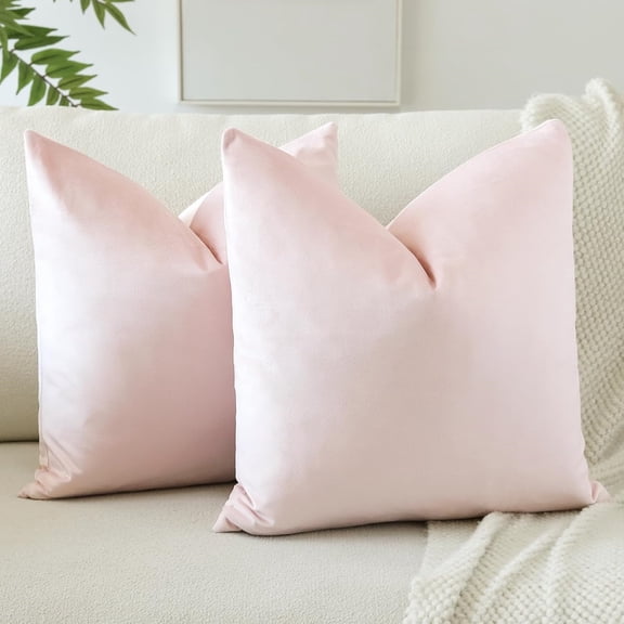 Nmkwnr Pack of 2 Throw Pillow Covers Soft Velvet Pillow Case Decorative Cushion Cover for Couch Sofa Office, 16"x16"