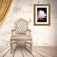 thumbnail image 3 of Taylor, Douglas 23x32 Gold Ornate Wood Framed with Double Matting Museum Art Print Titled - Echinopsis Flowers I, 3 of 4
