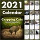 thumbnail image 3 of Calendario De Gatos 2021 Calendario Divertido De Gatos Decoración Interesante Para El Dormitorio De La Sala De Estar Speravity HA015654-00, 3 of 7