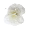 thumbnail image 4 of Mini Chapeau de Plume Femmes Clip de Cheveux pour Banquet de Fête de Mariage, 4 of 6