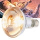 thumbnail image 4 of Lámpara Solar UVB Bombilla De Calor UVB Para Reptiles La Lámpara Solar Duradera Para Reptiles Proporciona Calor UVB Lagarto Para Reptiles Anfibios, 4 of 7