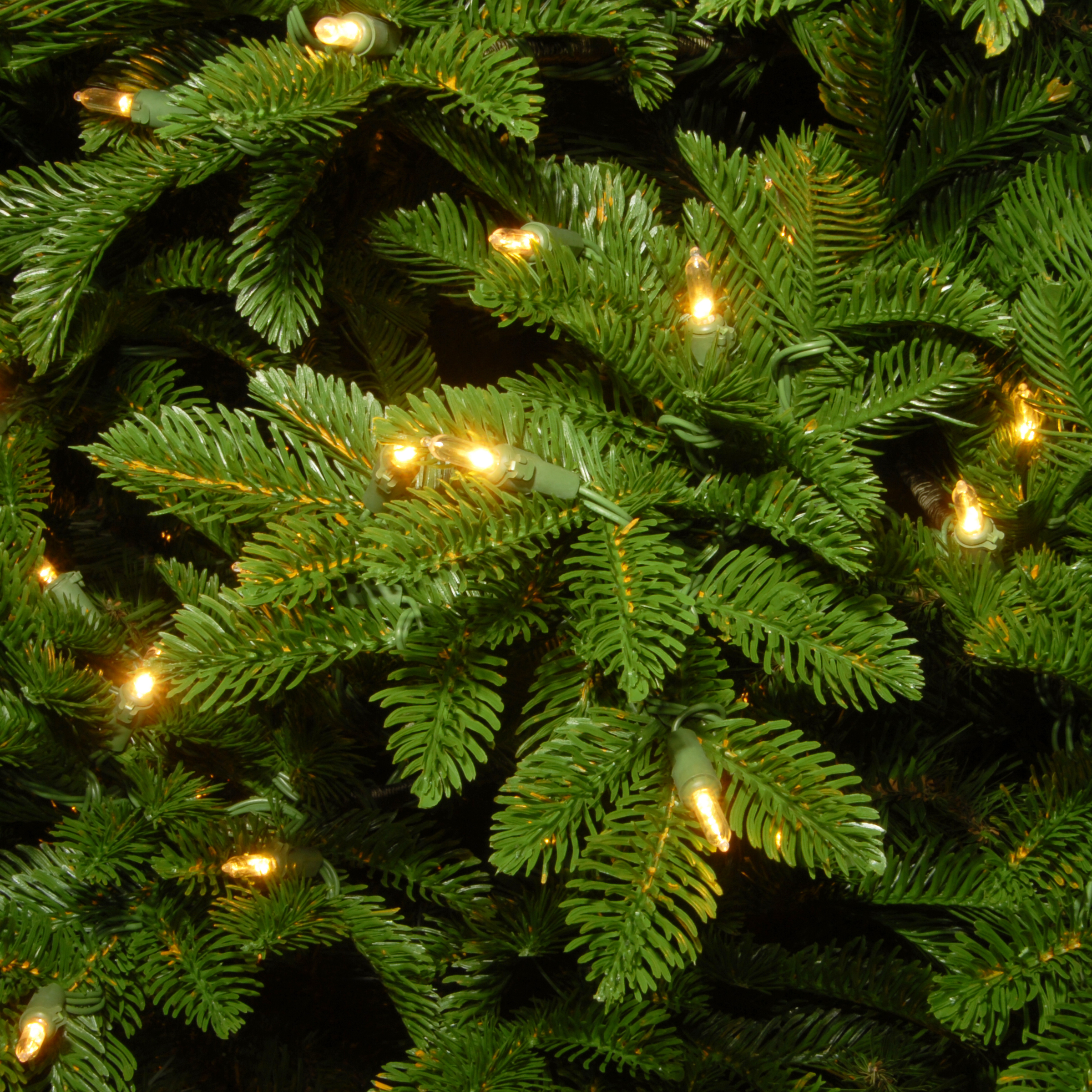 National Tree Company 7.5 ft. Empire Grande Fir Deluxe Tree with Dual Color® LED Lights - image 4 of 4