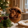 thumbnail image 4 of Forest Animal Acorn Ornaments 3D, Detailed Woodland Creature Figurines in Acorn Shell, Shatterproof Resin Christmas Tree Ornaments, Unique Animal Lover Gift Idea, Christmas Decor Set, B, 4 of 7