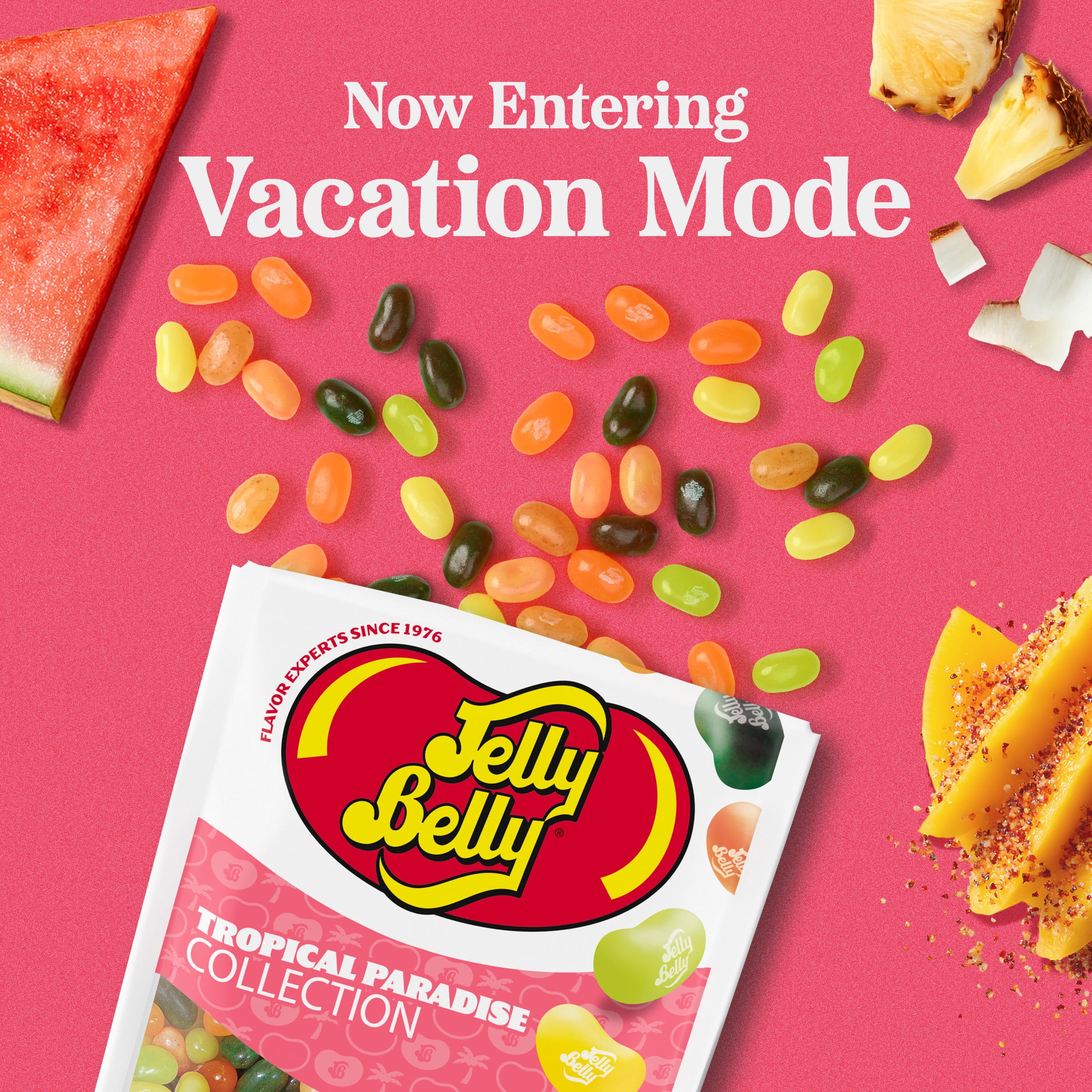 Jelly Belly Tropical Paradise Jelly Bean Collection - 8 oz Pouch Bag, 10-Count Case - Genuine, Official, Straight from the Source