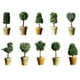 thumbnail image 3 of , Planta , Flor, Mini Bonsais con Maceta, Decoración Interior para Al 1, 3 of 9