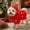 Red-S, variant on Pet Dog Christmas Costume Puppy Cloak with Star and Colorful Pompoms Cat Xmas Tree Cape Hooded Winter Outfit for Dogs Cats | Green L
