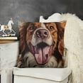 thumbnail image 2 of Cute Brittany Spaniel Dog Throw Pillow Cover Colorful Painting Dog Art Decorative Pillow Case for Bed Couch Sofa Dog Lover Gift Linen Double Side,, 2 of 5
