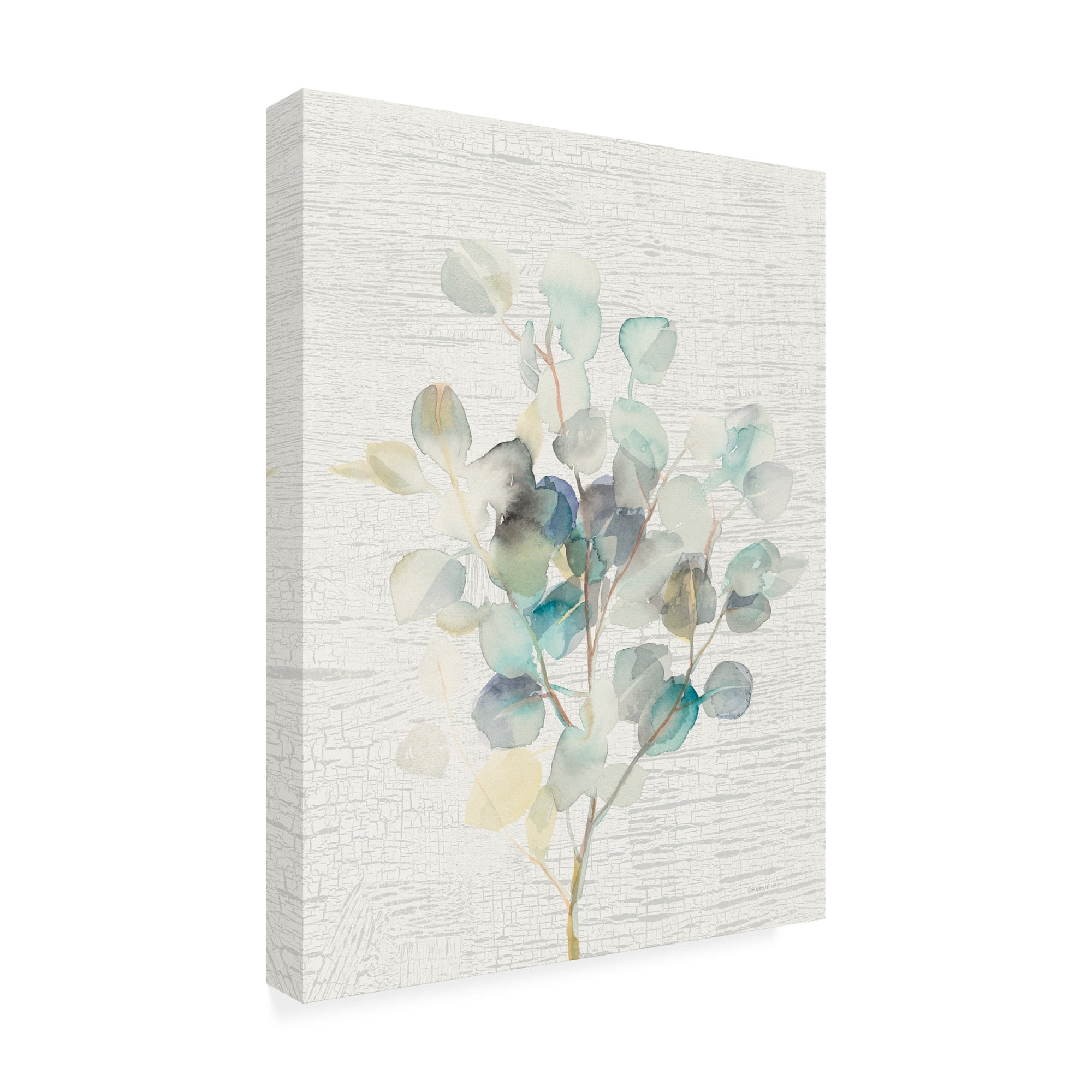 Trademark Fine Art 'Eucalyptus III Vintage' Canvas Art by Danhui Nai