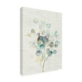 thumbnail image 2 of Trademark Fine Art 'Eucalyptus III Vintage' Canvas Art by Danhui Nai, 2 of 3