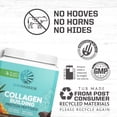 thumbnail image 4 of Sunwarrior Vegan Collagen Chocolate Protein Powder with Biotin & Hyaluronic Acid 20 Servings, 4 of 8