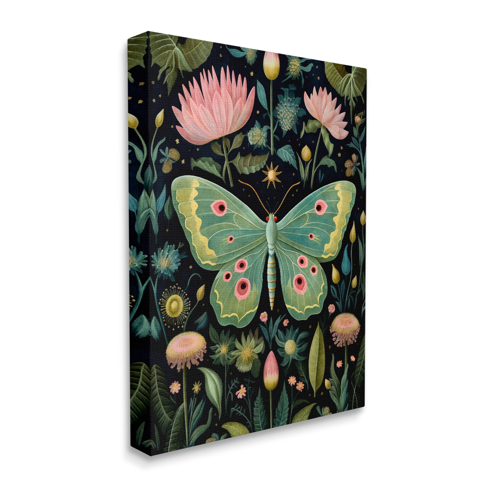 Stupell Industries Moth with Nature Botanicals Animals & Insects Painting Gallery Wrapped Canvas Art Print Wall Art, 36 x 48