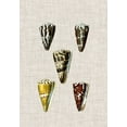 thumbnail image 2 of Vision Studio 11x14 Gold Ornate Wood Framed with Double Matting Museum Art Print Titled - Antique Shells on Linen VIII, 2 of 4