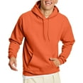 thumbnail image 4 of Hanes mens Pullover Ecosmart Hooded athletic sweatshirts, Deep Royal, X-Large US, 4 of 9
