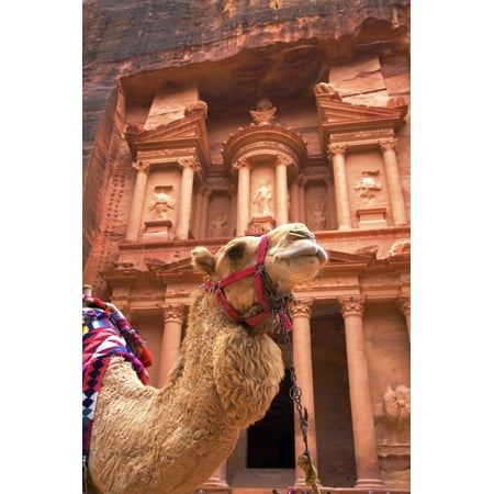 Camel in Front of the Treasury, Petra, Jordan, Middle East Print Wall Art By Neil