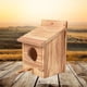 thumbnail image 4 of Caja de de pájaros de jardín de jaula de pájaros de, 4 of 9
