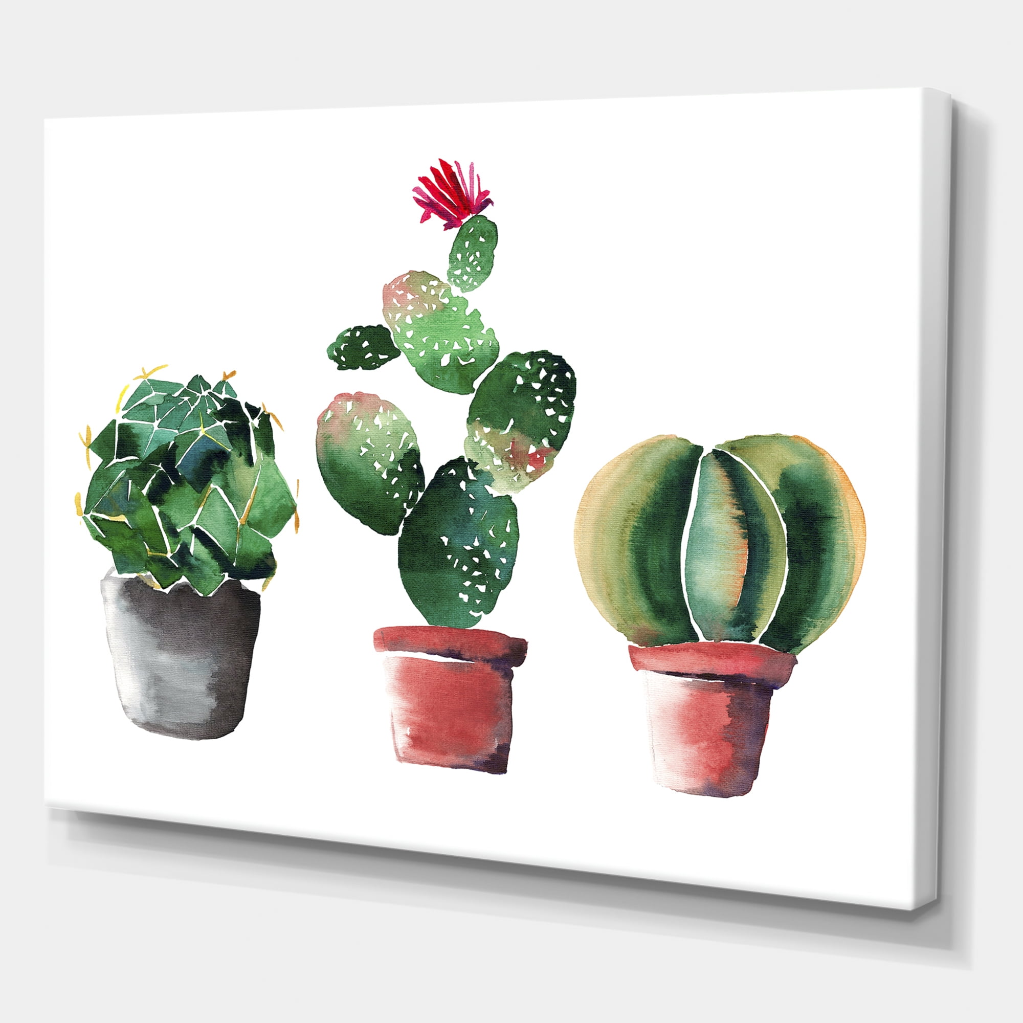 Designart ' Three Cacti In Clay Pots On White ' Traditional Canvas Wall Art Print