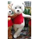 thumbnail image 3 of Disfraz de mascota de oso de peluche, disfraz de anime para cosplay, adultos, Navidad, Halloween, fiesta de cumpleaños, atuendos de actuación, prendas de carnaval, 3 of 5