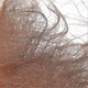 thumbnail image 5 of Pipe Bark Decoration Tree Bark Decor for Sewer Pipe 10Pcs Brown Set, 5 of 5