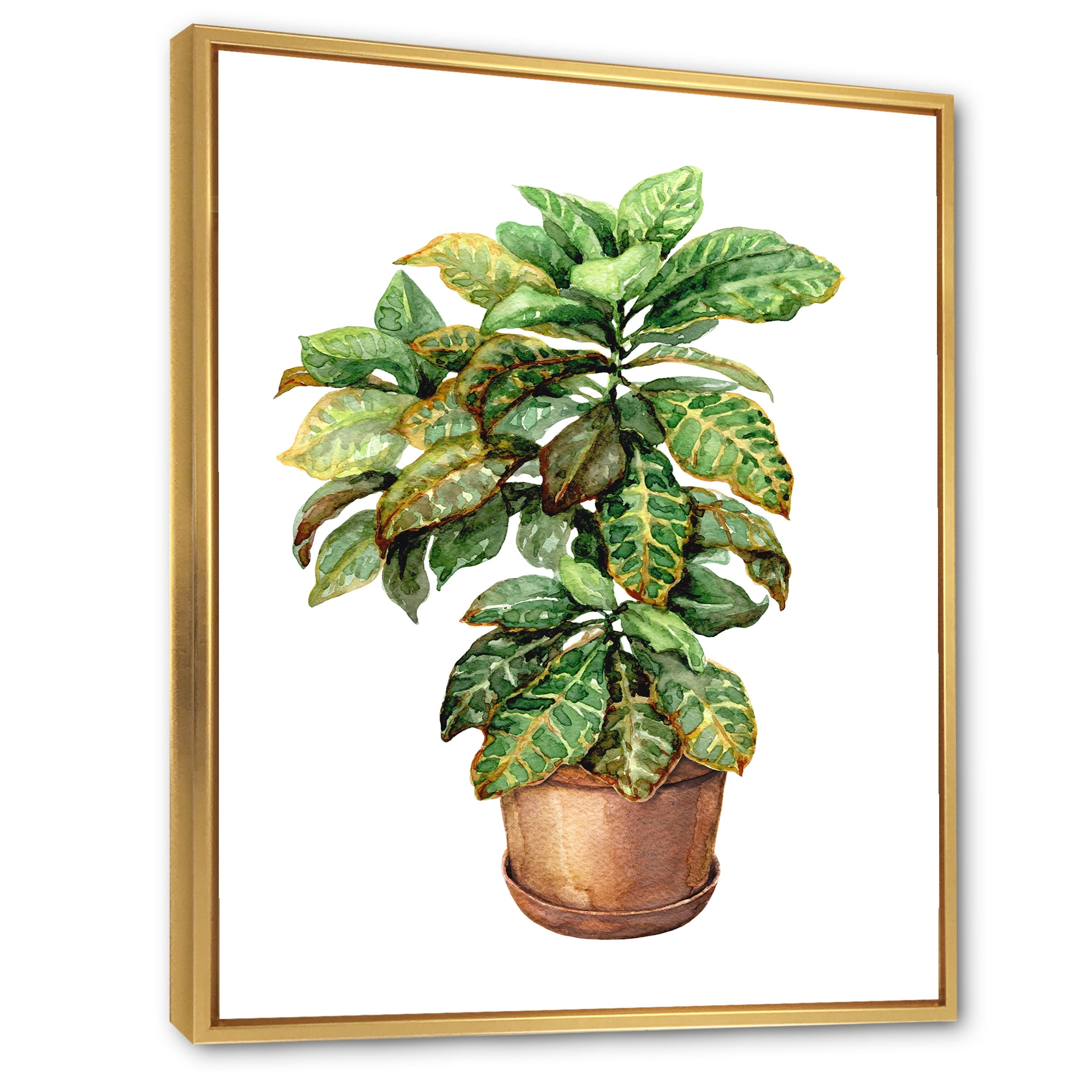 Designart 'Green Croton In Clay Flowerpot' Traditional Framed Canvas Wall Art Print
