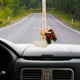 thumbnail image 4 of Juego de adornos para árbol de Navidad con cinta de terciopelo y adornos de madera: kit de 5 piezas para colgar en el coche, ideal para regalar en estas fiestas., 4 of 5