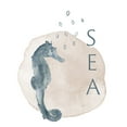 thumbnail image 2 of Price, Lucille 12x14 White Modern Wood Framed Museum Art Print Titled - Sea Seahorse, 2 of 4