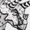 White, variant on Agujaceratops In B&W T-Shirt Men -Image by Shutterstock, Male 3X-Large