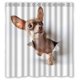 thumbnail image 1 of ABPHQTO Chihuahua by Chihuahua Cortina de Ducha Cortina de Ducha Impermeable 160x180 cm, 1 of 2