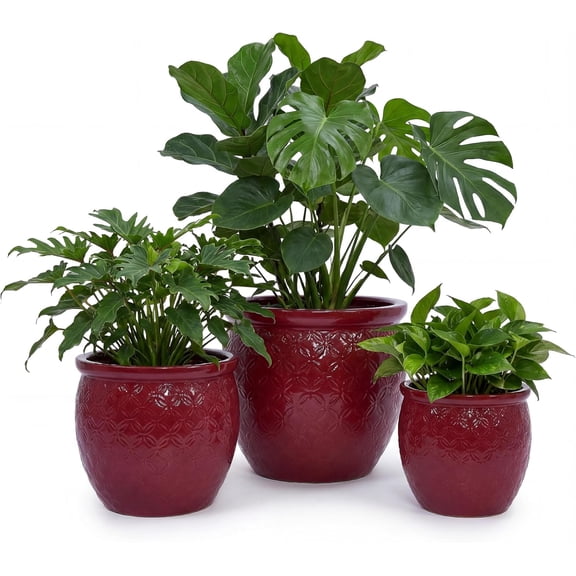 Olurrisa 3 Pieces Ceramic Flowerpot, Modern Planter for Patio, Garden or Windowsills - Orange