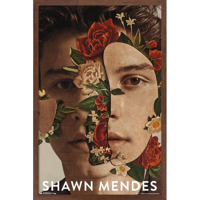 Shawn Mendes - Fleurs