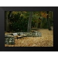 thumbnail image 2 of Geyman, Vitaly 24x19 Black Modern Framed Museum Art Print Titled - Autumn Paradise III, 2 of 5