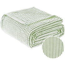 PLEASANT BOULEVARD | Fuzzy Throw Blanket Double-Sided Design Checkered Striped Waffe Lightweight Fleece Blankets for Bed and Couch Décor – Cozy, Soft, Cute for Women, Throw (50" x 60") Green