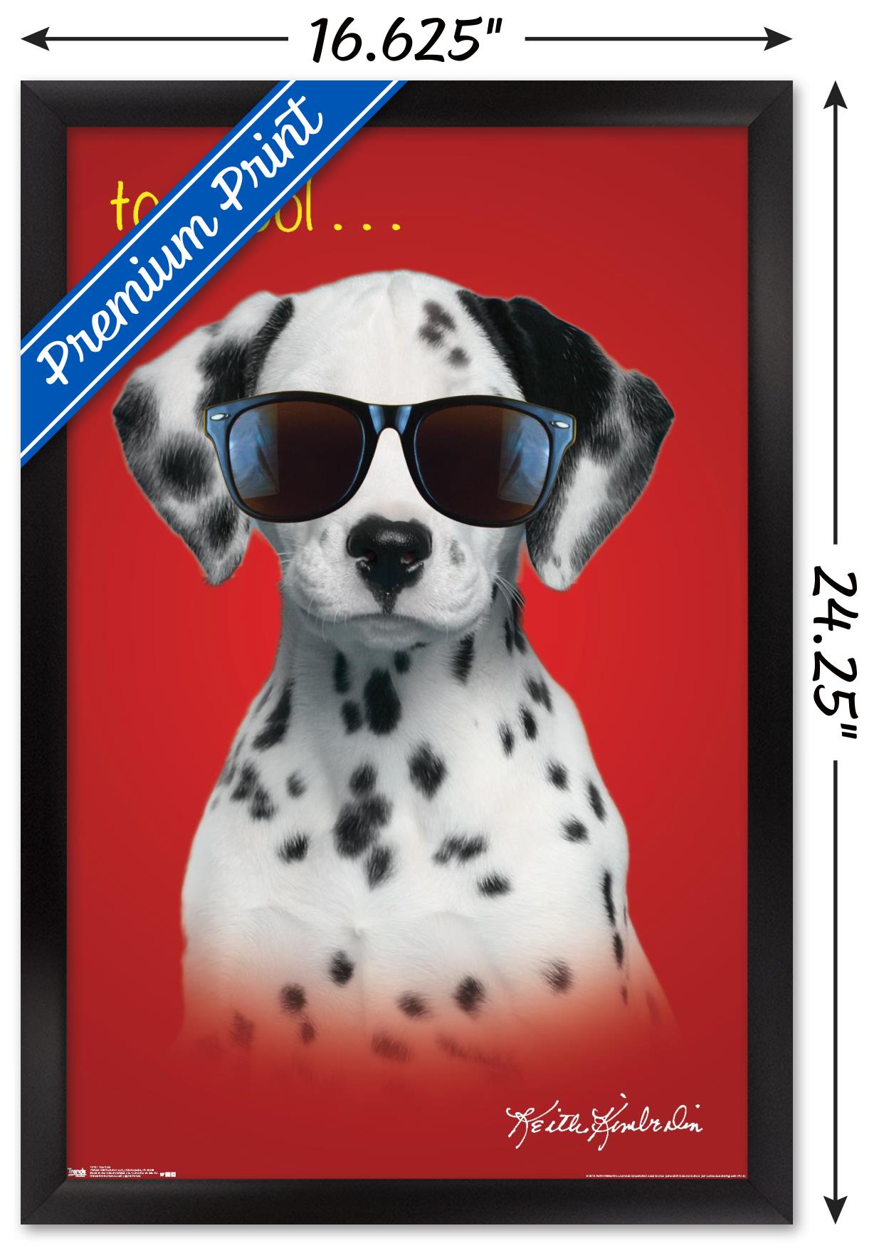 Keith Kimberlin - Dalmatian Puppy - Too Cool Wall Poster, 14.725" x 22.375", Framed