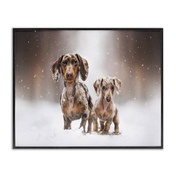 Stupell Industries Eclectic Playing Puppies in Snow Black Framed Giclee Art, 14 x 11, by Natalie Grosse