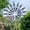 Colorful windmill, variant on Creative Garden Windmill Decoration Outdoor Metal Windmill Iron Crafts