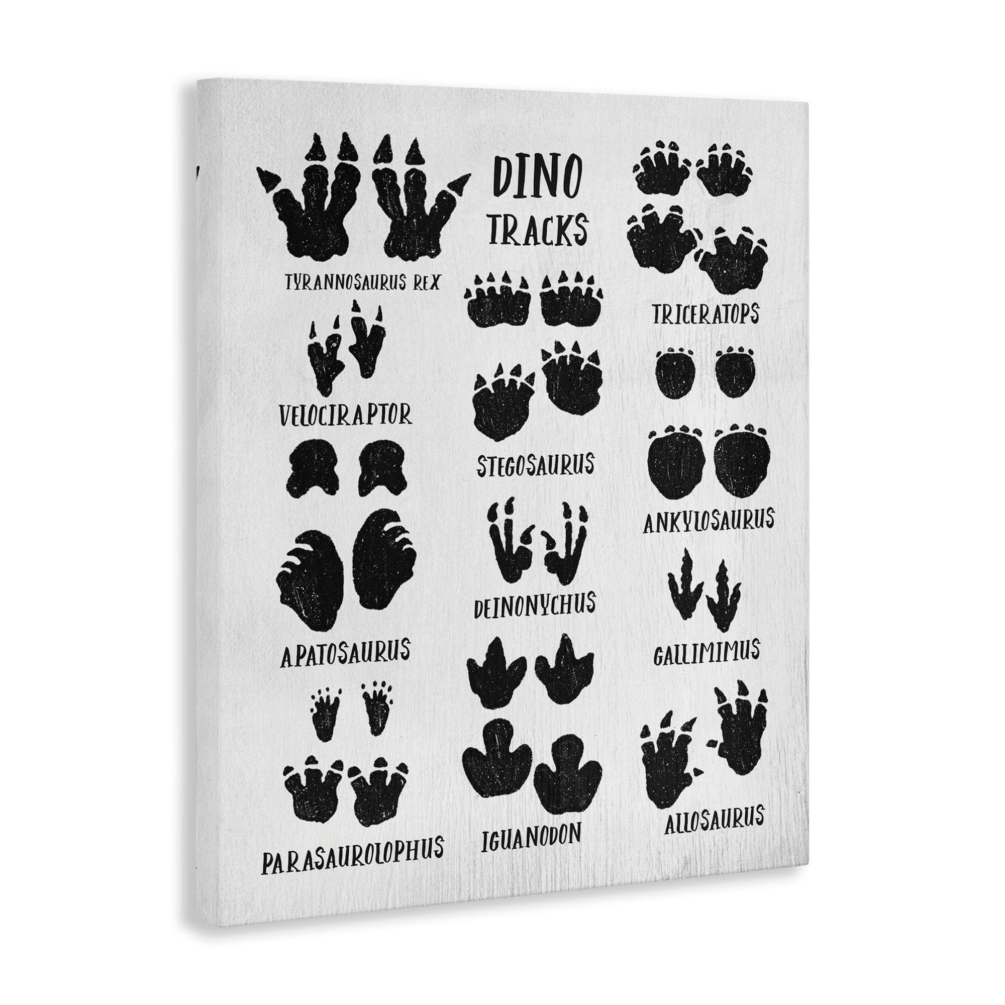 Stupell Industries Children's Rustic Dinosaur Track Chart with Text Canvas Wall Art Design by Daphne Polselli, 16" x 20"