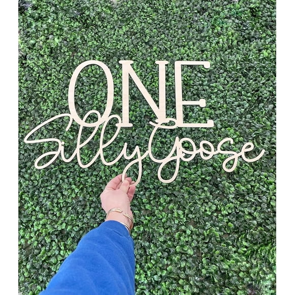 One Silly Goose Sign for Backdrop,Silly Goose Birthday Sign for 1st Birthday Party Decoration,Silly Goose First Birthday Decorations Duck Birthday Funny Goose Party Supplies