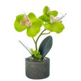 thumbnail image 1 of tredstone Artificial Orchid Flower & Pot Simulation Potted Flower Home Office Table Fake Floral Decor, JH1735, Green, 1 of 7