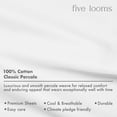 thumbnail image 7 of Five Looms Classic Cotton Percale Sheets Set, Queen (White, 4 Piece), 7 of 7