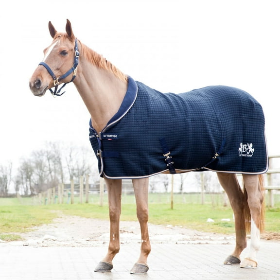 B Vertigo Theo Thermo Wool and Acrylic Stable Blanket