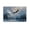 Unframe, variant on Larbulse Majestic Eagle Soar Snowy Pine Tree Mountain Canvas Wall Art Home Decor Poster Vintage Funny Print Picture Abstract Bedroom Living Room Kitchen Posters Decor